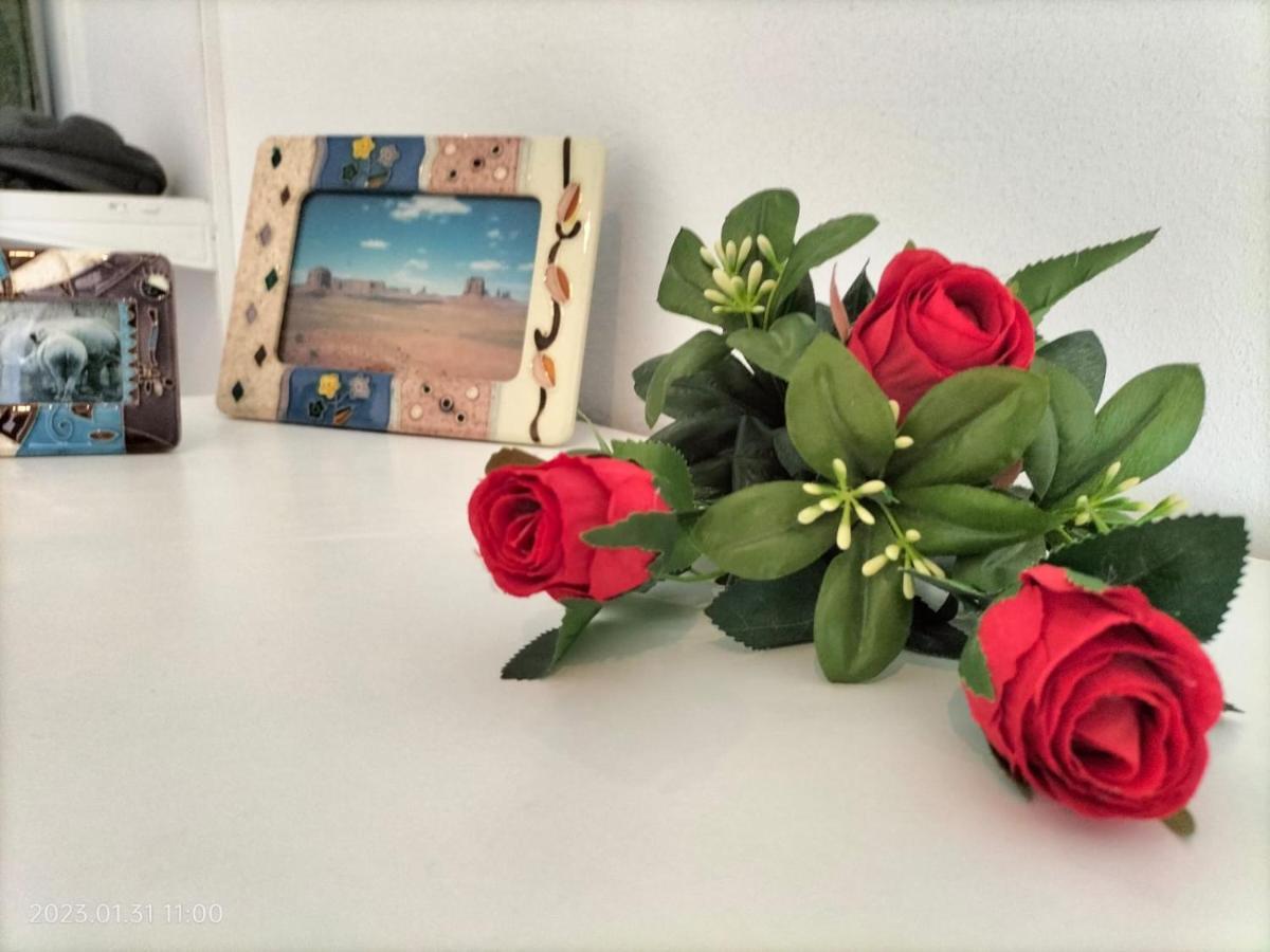 דירות לסטרה א סיניה Al Vecchio Mulino מראה חיצוני תמונה